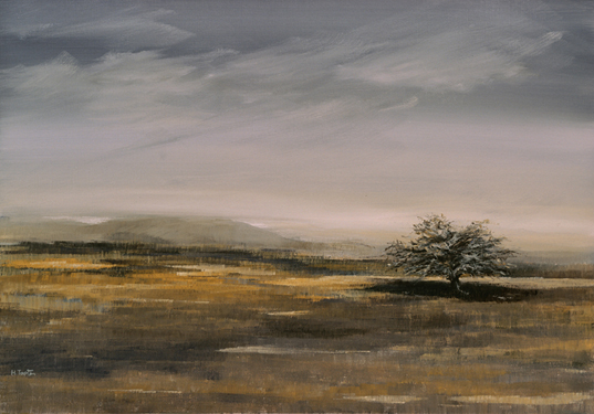 Λάδι σε Καμβά, 70x100 εκ.